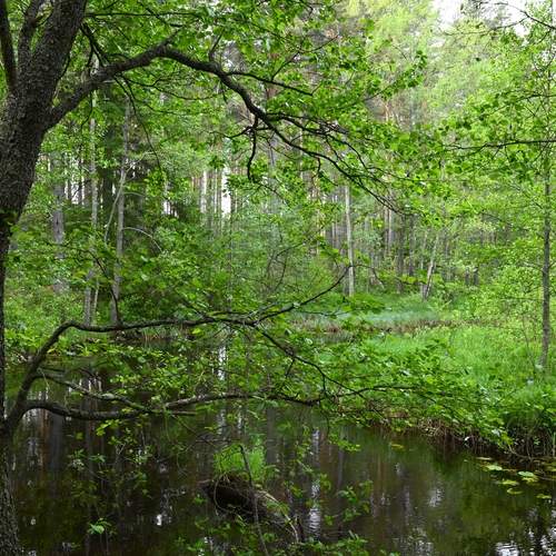 Photo #13599775