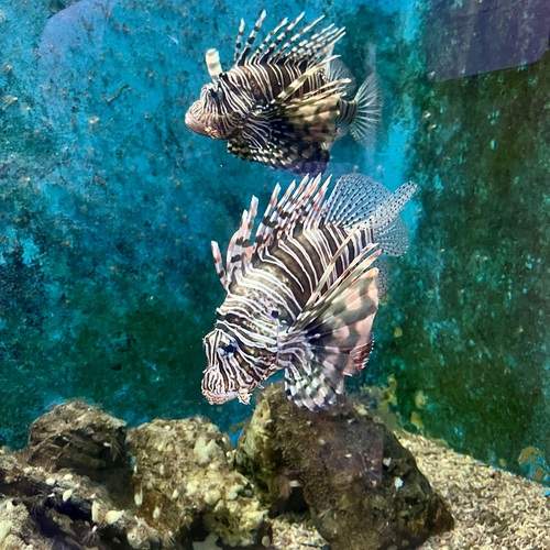 Photo #13599777