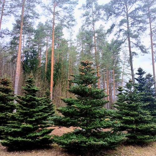 Photo #13599882