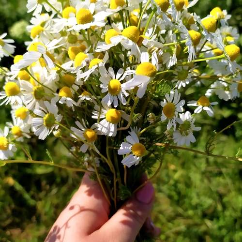 Photo #13599886