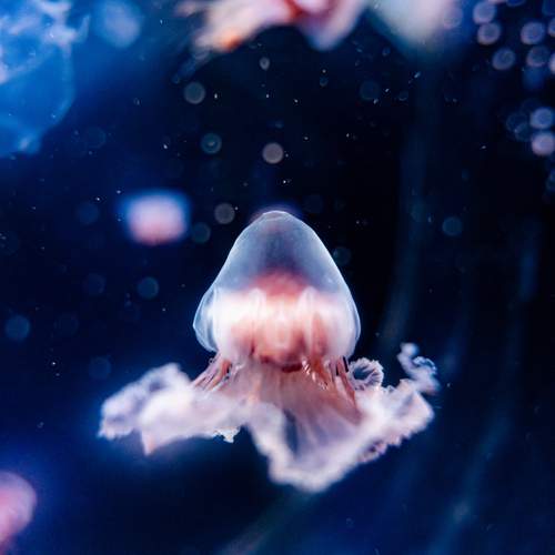 Photo #13599899