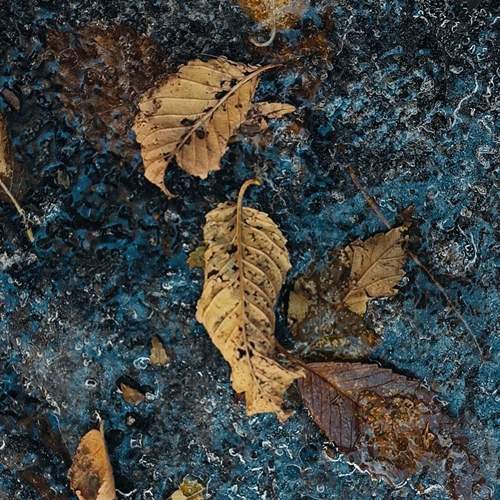Photo #13599948