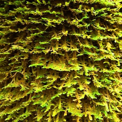 Photo #13600007