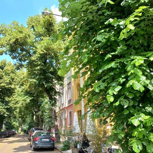 Photo #13600057