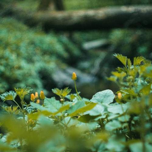 Photo #13600104