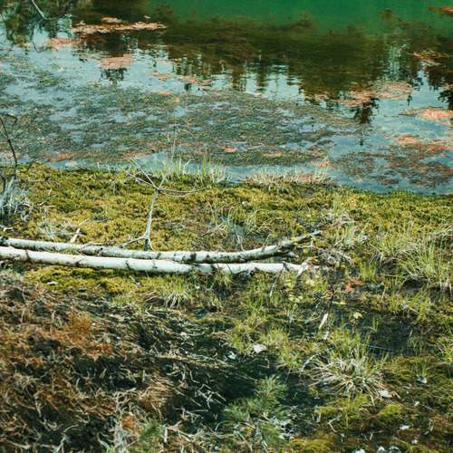 Photo #13600105