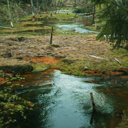 Photo #13600106