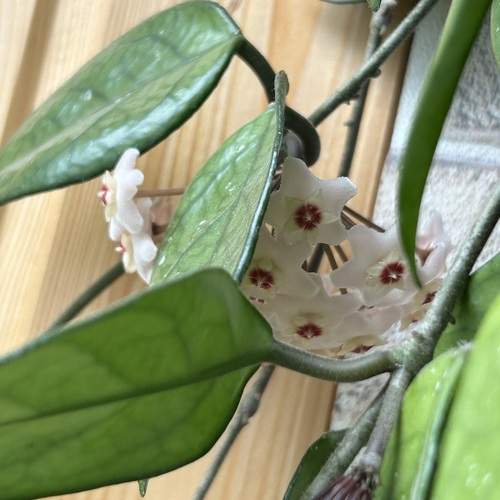 Photo #13600178