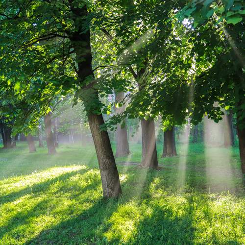 Photo #13600190