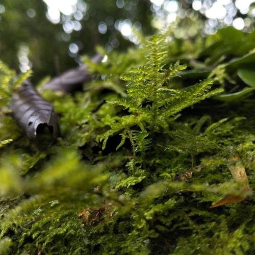 Photo #13600234