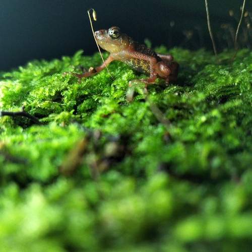Photo #13600236