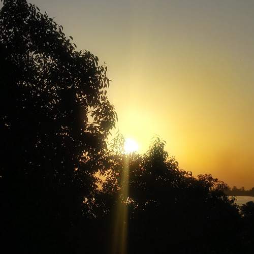 Photo #13600343