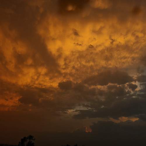 Photo #13600347