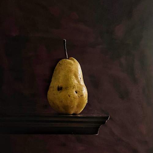 Photo #13600364
