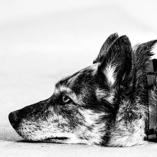 Photo #13600367