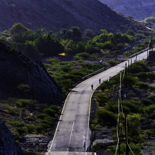 Photo #13600406