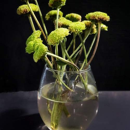 Photo #13600413