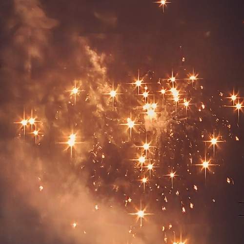 Photo #13600417