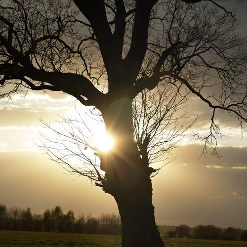 Photo #13600481