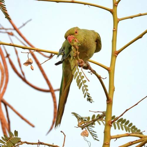 Photo #13600504