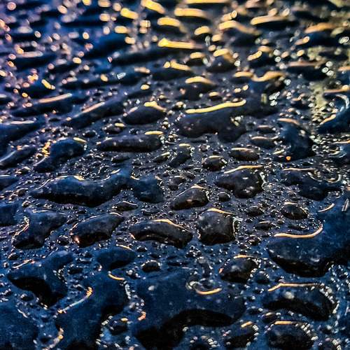 Photo #13600616