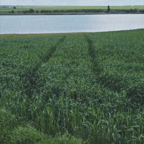 Photo #13600671
