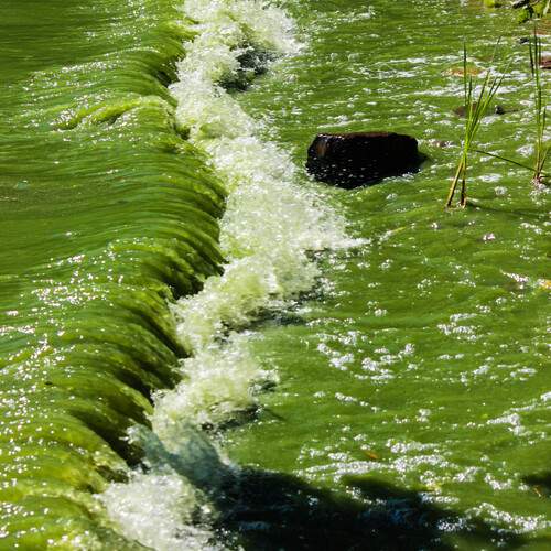 Photo #13600684