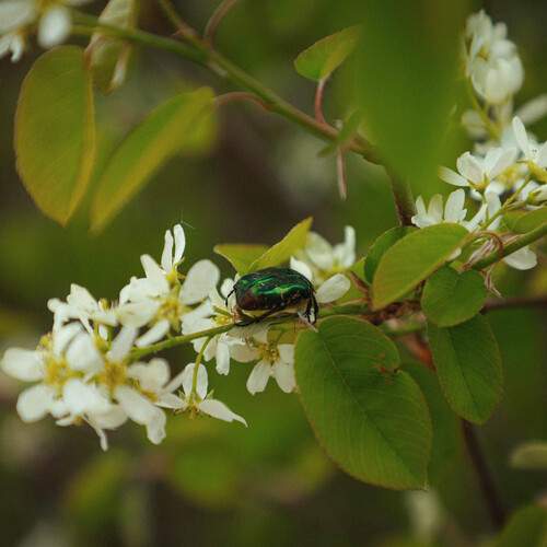 Photo #13600687