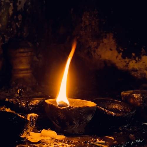 Photo #13600697