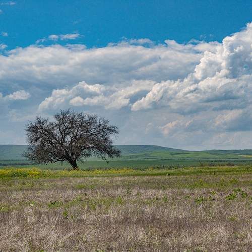 Photo #13600711