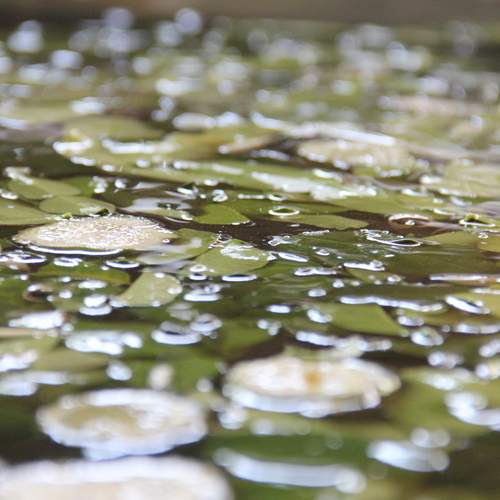 Photo #13600795