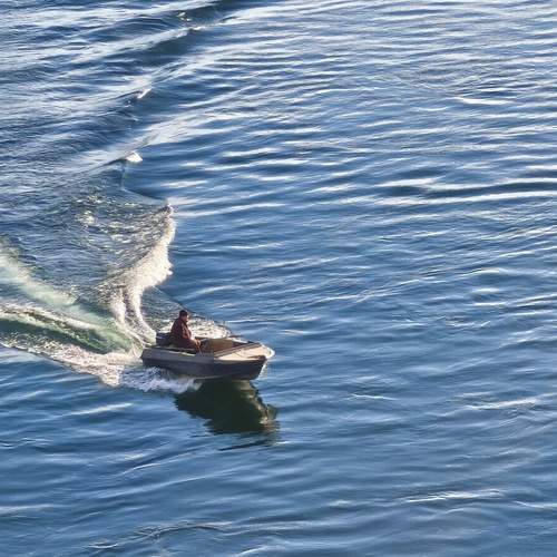 Photo #13600807