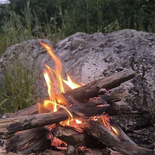 Photo #13600843