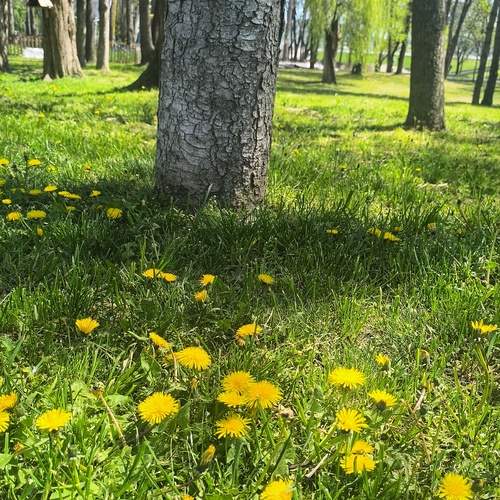 Photo #13600854