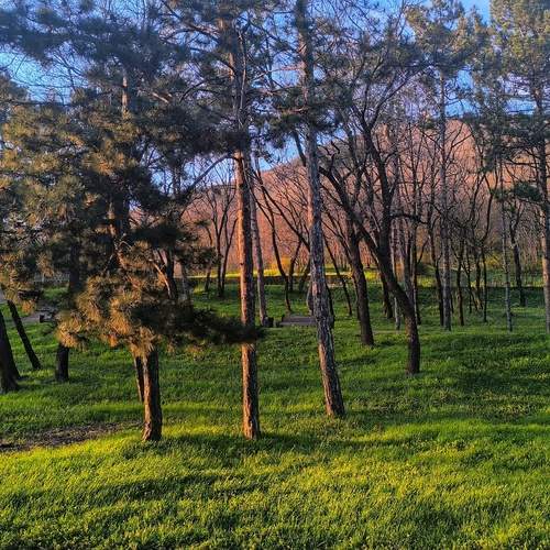 Photo #13600857