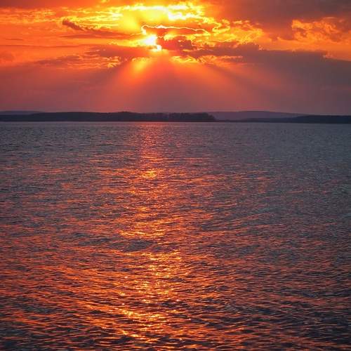 Photo #13600910