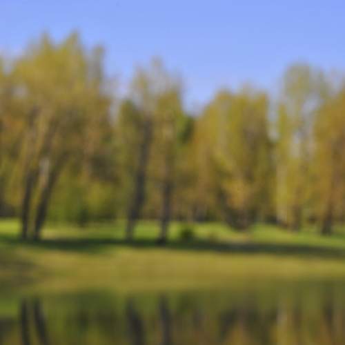 Photo #13601114