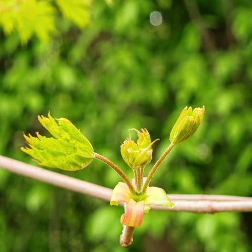 Photo #13601144