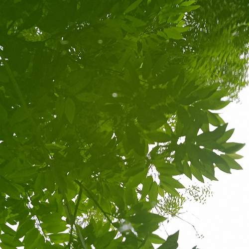Photo #13601153