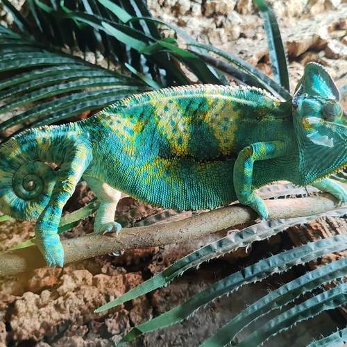 Photo #13601321