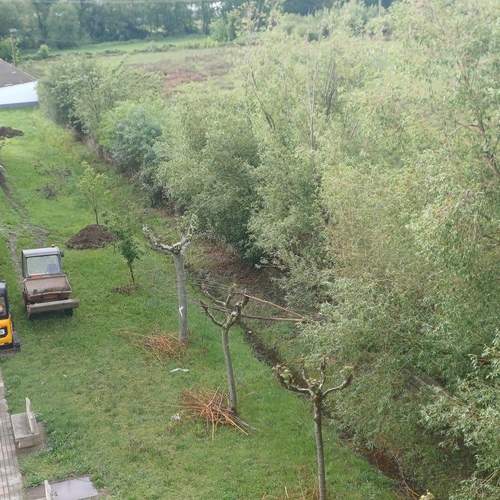 Photo #13601347