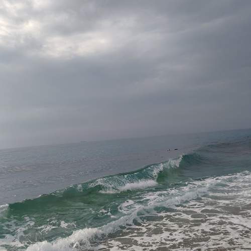 Photo #13601409