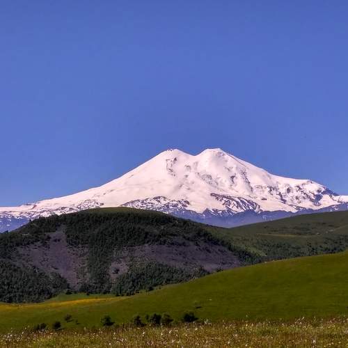 Photo #13601427