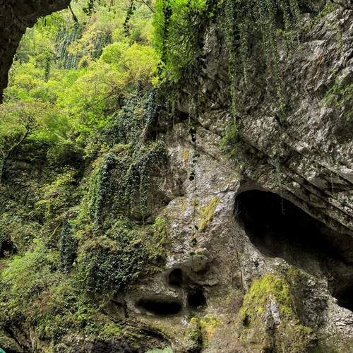 The Face of Nature