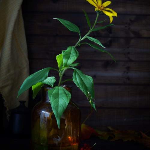 Photo #13601553