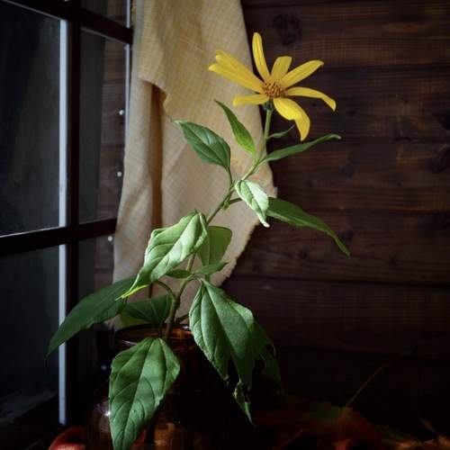 Photo #13601554