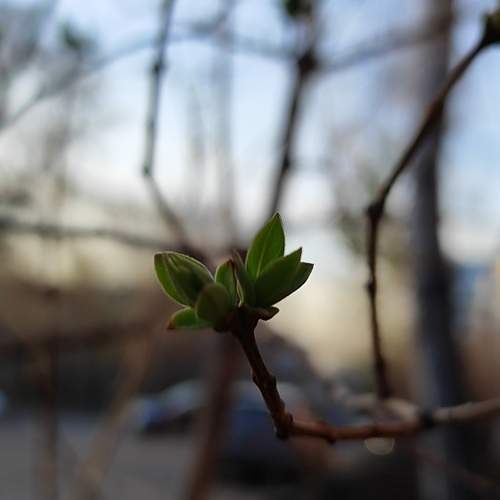 Photo #13601609