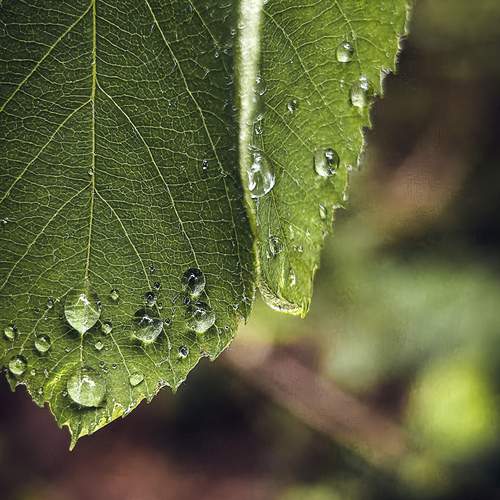 Photo #13601703
