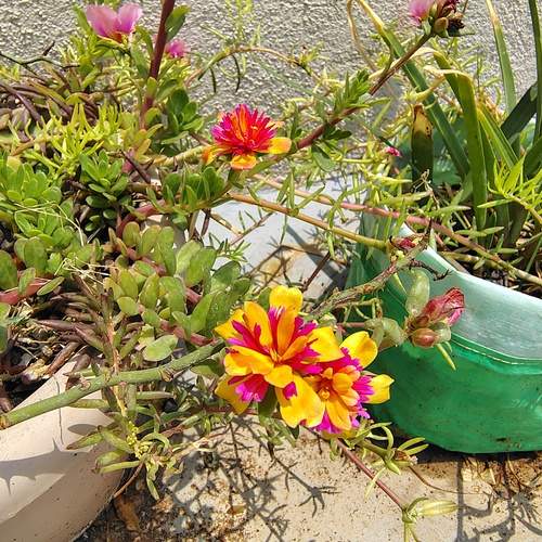 Photo #13601732