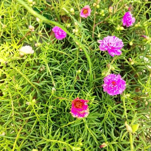 Photo #13601733